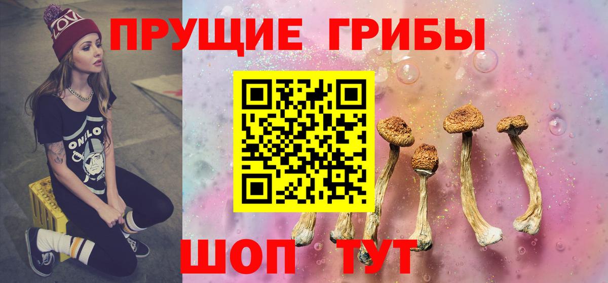 Евпатория  Галлюциногенные грибы Psilocybe  Вход с VPN 